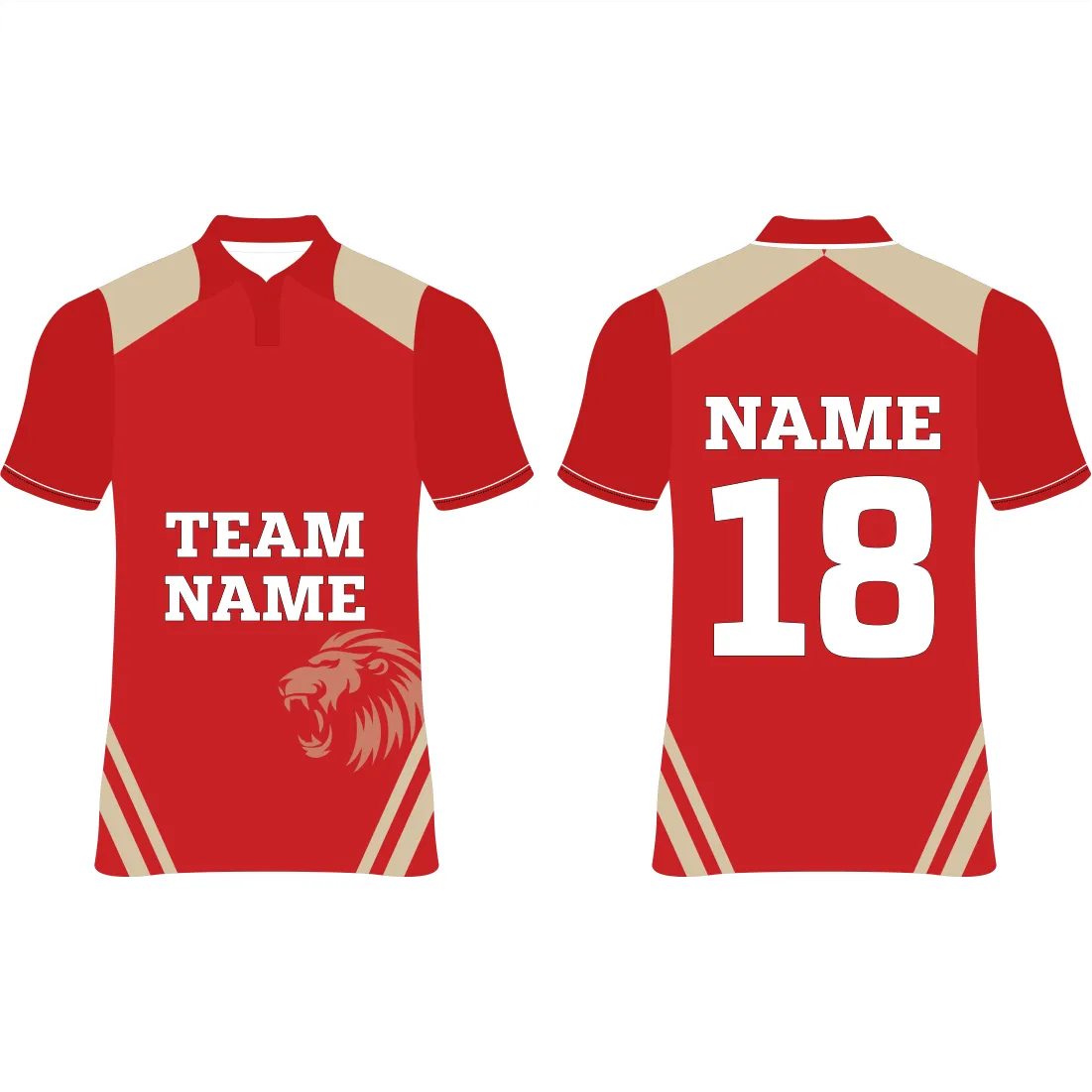 Next Print Punjab Custom Cricket Jerseys NP060000