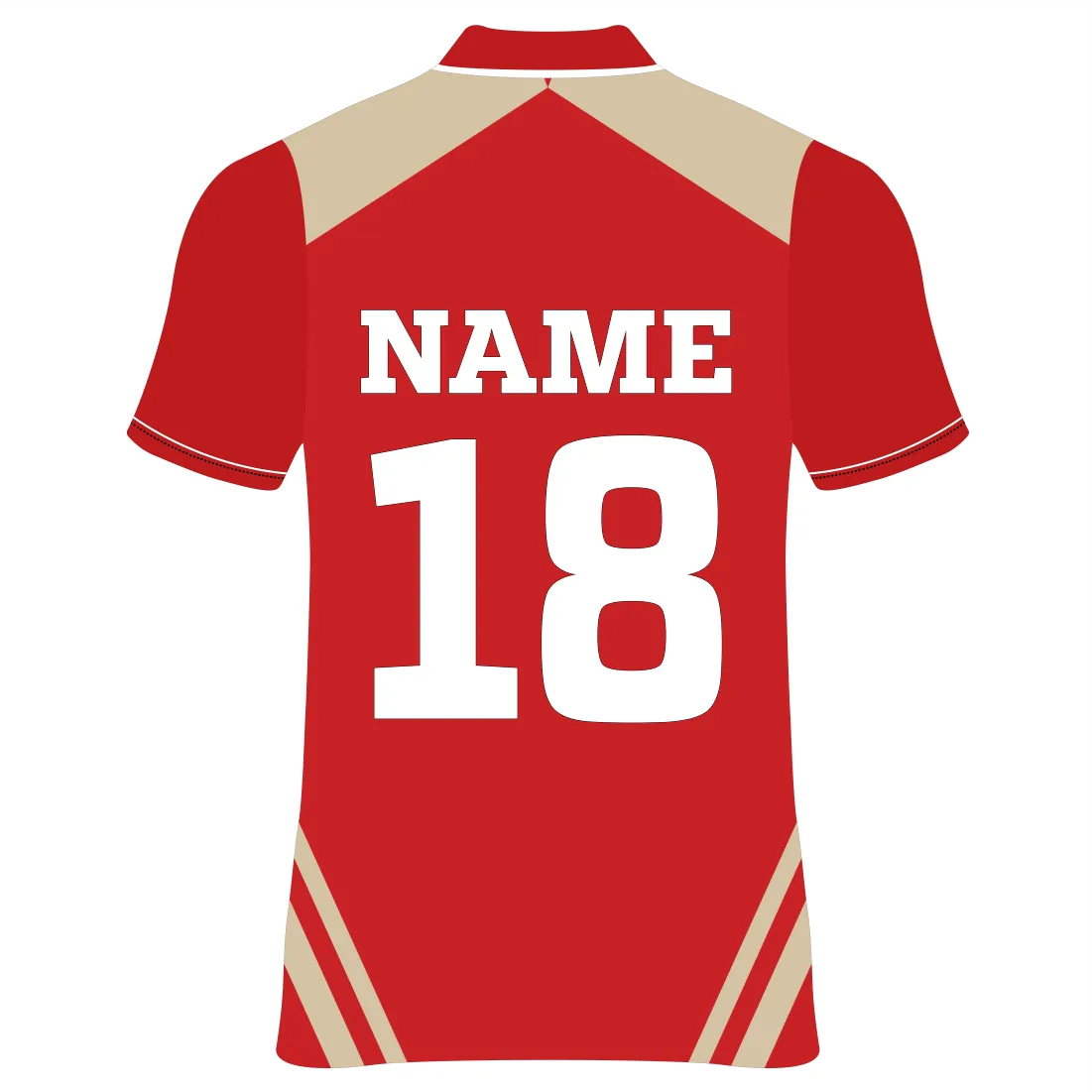 Next Print Punjab Custom Cricket Jerseys NP060000